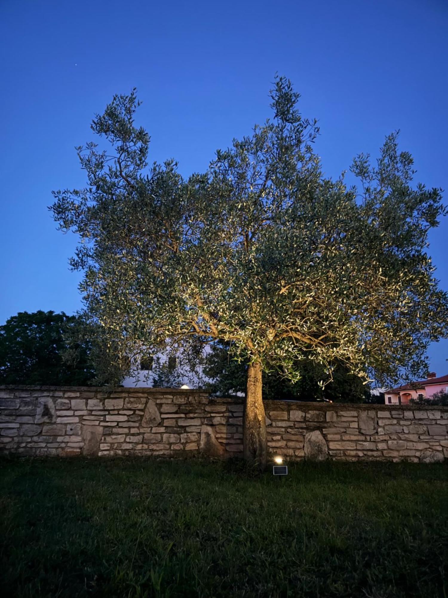 Apartman Ostrea *** Bale Dış mekan fotoğraf